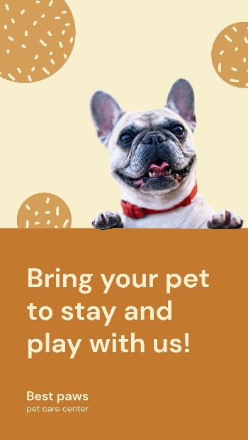 Pet hotel Instagram post template | Free Vector Template - rawpixel