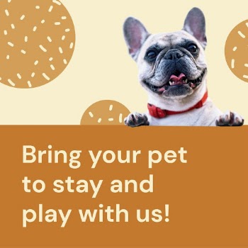 Pet hotel Instagram post template | Free Vector Template - rawpixel