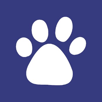 Pet paw clipart, simple cute | Free Vector - rawpixel