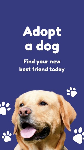 Pet shelter Facebook story template | Free Vector Template - rawpixel