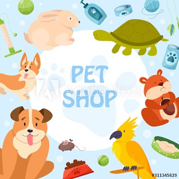 Pet shop banner