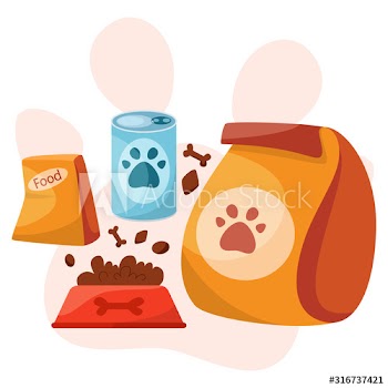 Pet shop concept