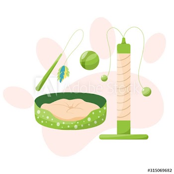 Pet shop set with different goods for cats