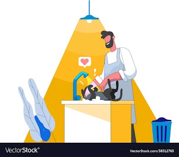 pet shower concept