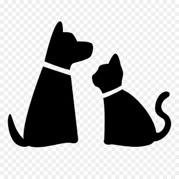 Pet sitting Dog Cat Puppy - dog and cat 