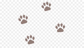 Pet sitting Dog Cat Puppy Paw - Dog paw prints 