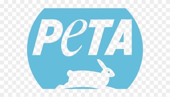 Peta Criticizes Northeastern's Use Of Glue Rat Traps - People For The Ethical Treatment Of Animals