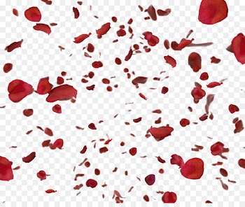 Petal Animation Flower - Rose petals floating material 
