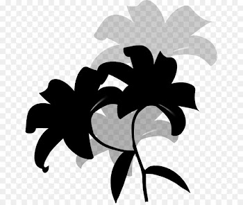 Petal, Black White M, Leaf, Blackandwhite PNG