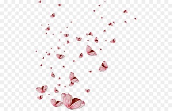 Petal Butterfly effect Clip art - butterfly 