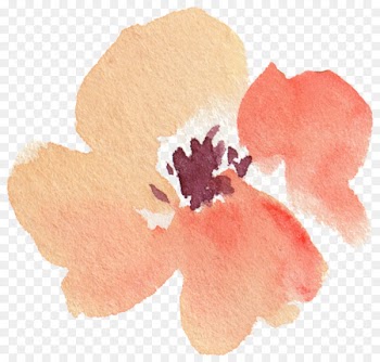 Petal Chemical element Leaf - Leaves falling leaves element transparent element 