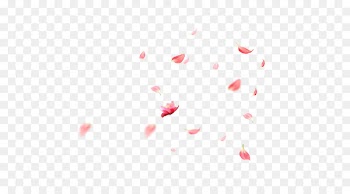 Petal Cherry blossom Cerasus - Falling Petals 