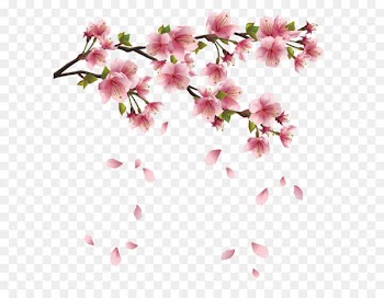 Petal Clip art - Beautiful Pink Spring Branch with Falling Petals PNG Clipart 