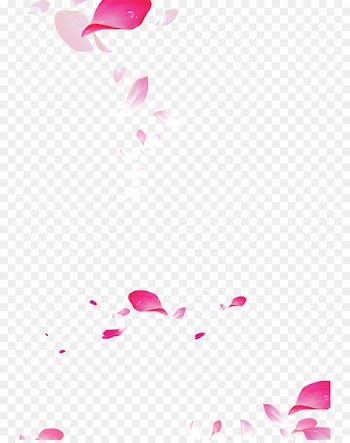 Petal Clip art - Red petals falling float free downloads 