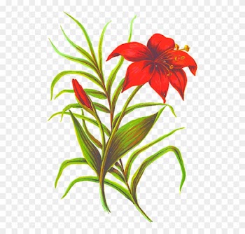 Petal Clipart Flower Leaf - Silhouette Flower Png