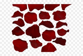 Petal Clipart Transparent Tumblr - Rose Petals Transparent Background