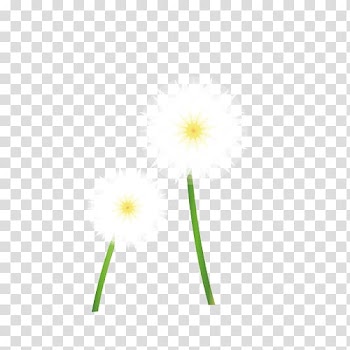 Petal Computer Pattern, White dandelion transparent background PNG clipart