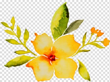 Petal Cut flowers Watercolor painting Plant stem, flower transparent background PNG clipart