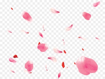 Petal Download Clip art - Falling Petals 