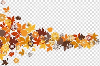 Petal Euclidean , Autumn leaves transparent background PNG clipart
