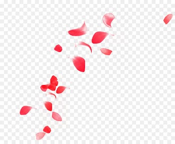 Petal Euclidean vector - Free floating petals buckle material 