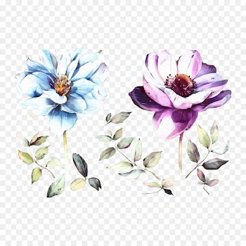 Petal, Floral Design, Cut Flowers, Flower PNG