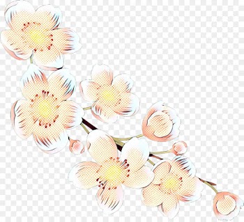 Petal, Floral Design, Cut Flowers, Pink, Plant PNG