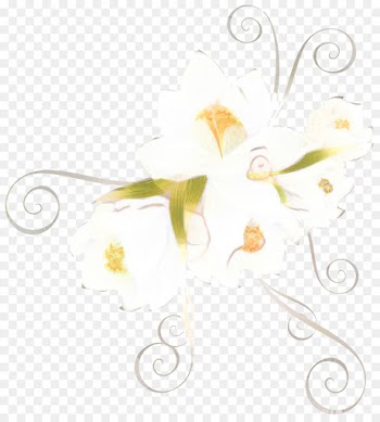 Petal, Floral Design, Desktop Wallpaper, Leaf, Yellow PNG