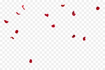 Petal Flower Chemical element Design Download - flower petals 