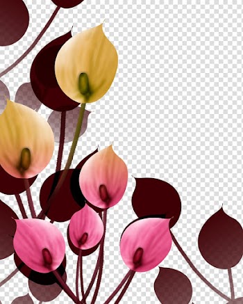 Petal Flower , Floral decoration transparent background PNG clipart