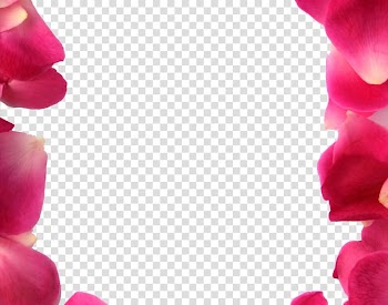 Petal Flower Frames, petals transparent background PNG clipart