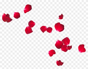 Petal Flower Frans Verwerft En Zonen Rose - Red Flower Petals Png