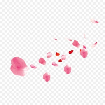 Petal Flower Image Portable Network Graphics - administracion vector 