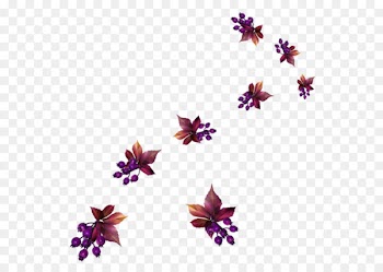 Petal Flower Leaf Portable Network Graphics Clip art -  