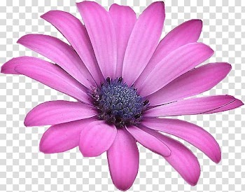 Petal Flower Paper Violet Watercolor painting, flower transparent background PNG clipart