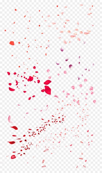 Petal Flower - Peach petals,festival,Flowers,Fall decoration,Pink Creative,Petals wedding,Rose Petals 