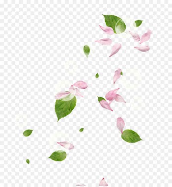 Petal Flower Pink - Peach petals,Pink 