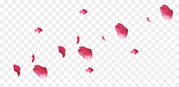 Petal Flower Pink Rose - petals 