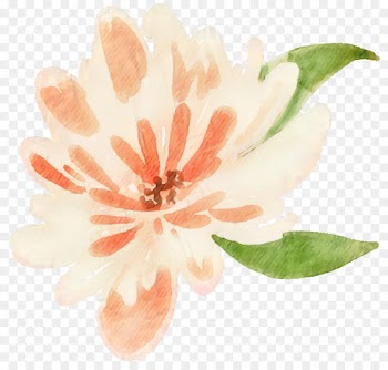 Petal, Flower, Watercolor Painting PNG