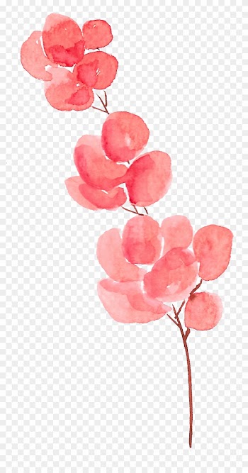Petal Flower Watercolor Painting - Watercolor Flowers Transparent Background Flowers Png
