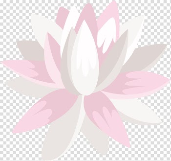 Petal Flowering plant, hand-painted white snow lotus transparent background PNG clipart