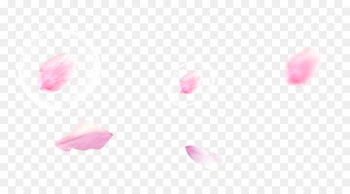 Petal Heart Pattern - Pink peach petals floating material 