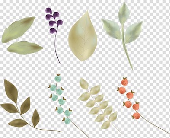 Petal Leaf Flower Illustration, hand-painted leaves transparent background PNG clipart