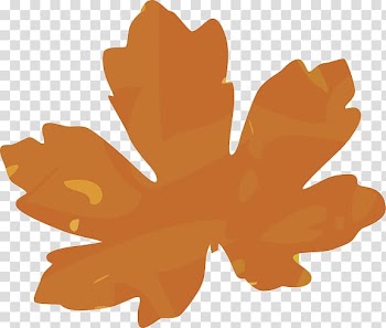 Petal Leaf Flowering plant, family Border transparent background PNG clipart