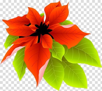 Petal, Leaves transparent background PNG clipart