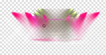 Petal , Light effect transparent background PNG clipart