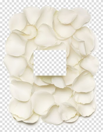 Petal Make-up, Petals white background Makeup transparent background PNG clipart