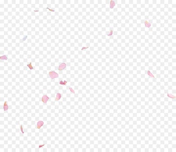 Petal Natural history P!nk Pattern - Rose petal 