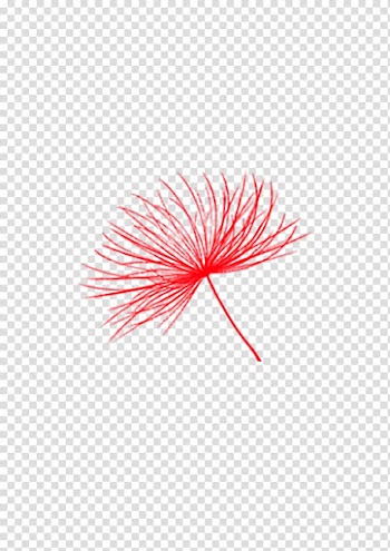 Petal Pattern, Dandelion flower petals transparent background PNG clipart