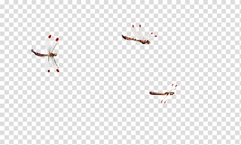 Petal Pattern, dragonfly transparent background PNG clipart